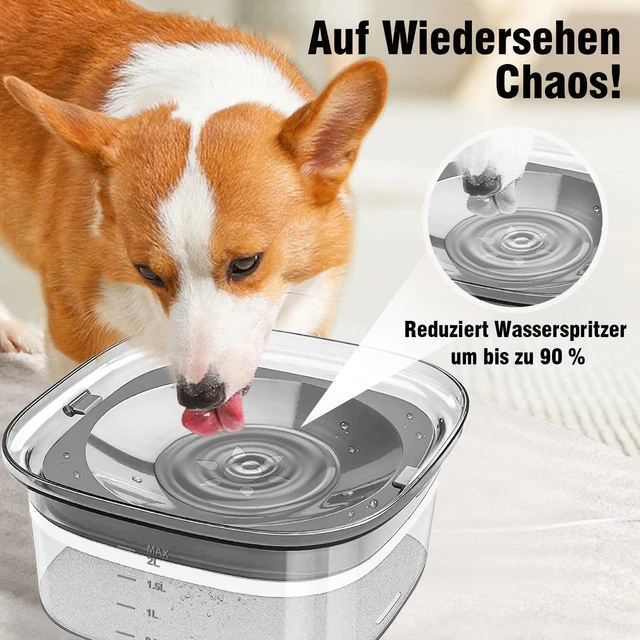 Slow waterer for dogs cheap