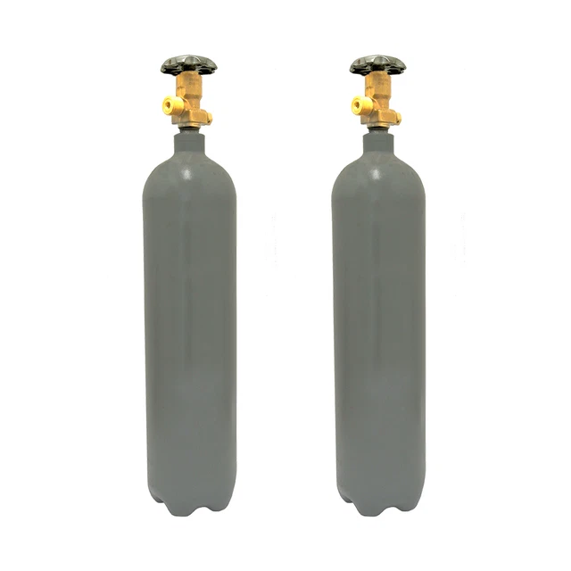 2 Pack Recertified 4 lb. Steel CO2 Tanks with CGA320 Valve for Homebrew Kegging