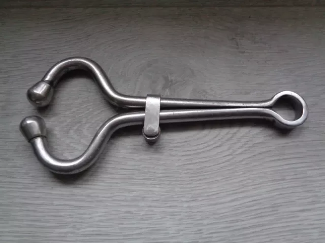 Mouchette Pour Taureau Pince Nez En Acier Outil Agricole