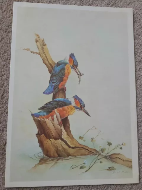 Vintage 'Canberra'  Cruise Luncheon Menu - Tuesday 4Th August 1987 - Kingfishers