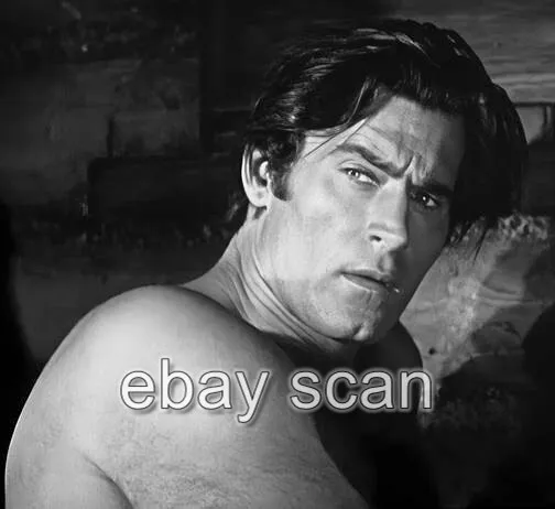 Clint Walker Of Cheyenne Barechested Beefcake   8X10 Photo  16