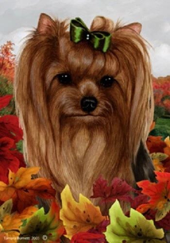 Fall Garden Flag (TB) - Yorkshire Terrier Yorkie Show Cut 132331