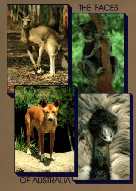 A0090 Faces of Australia Animals postcard