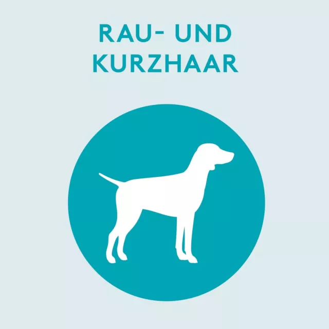 Tierfee Hunde-Shampoo per Rau- E Pelo Corto 250 ML - Vegan Öko-zertifiziert 3