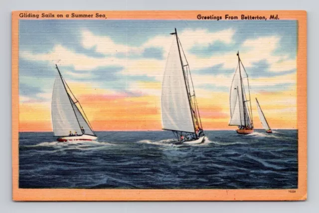 Postcard Sailboats Sailing Betterton Maryland MD, Vintage Linen D20