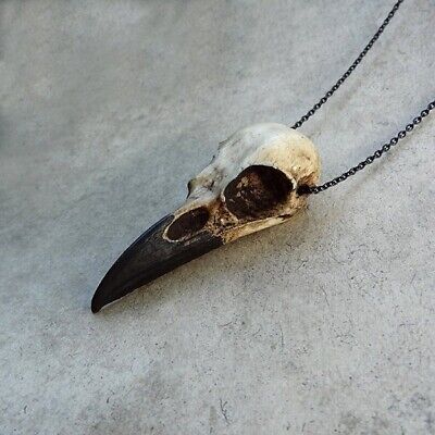 3D Raven Skull Necklace,Crow, Goth Bird Skull, Gothic Gift, Skull Jewelry