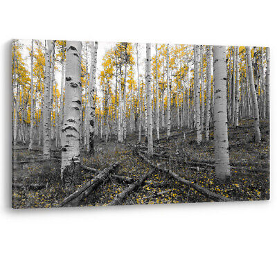 Yellow Tree Forest Scene Landscape Framed Canvas Wall Art Picture Print