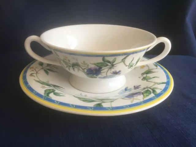 Royal Worcester Pastorale Tazza da Zuppa / Ciotola E Ciotola