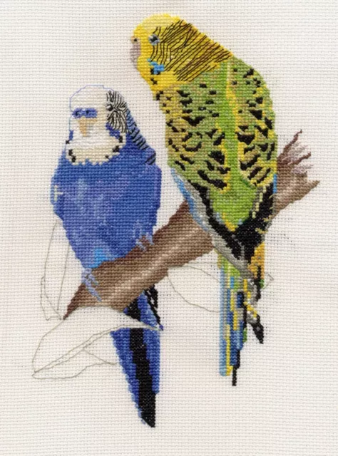 Budgerigars/Budgies counted cross stitch kit or chart 14s aida