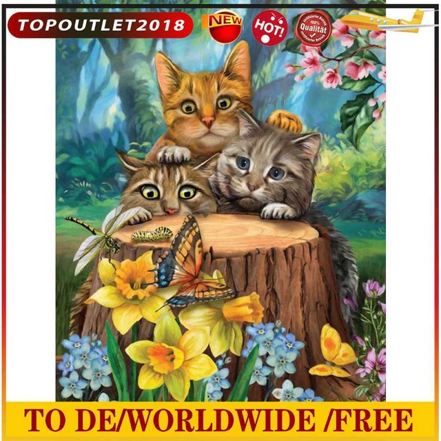5D hágalo usted mismo pintura de diamantes gatito taladro redondo completo mosaico estrás foto de casa