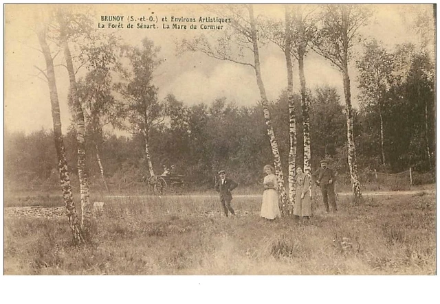 91.BRUNOY.n°30534.LA FORET DE SENART.LA MARE DU CORMIER