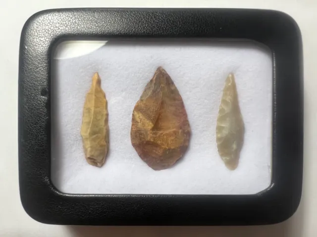 Stone Age Ancient Neolithic Stone Arrowheads In Display Case!