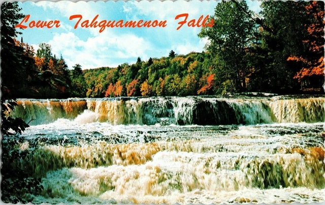 Lower Tahquamenon Falls Michigans View Upper Peninsula River Vintage Postcard