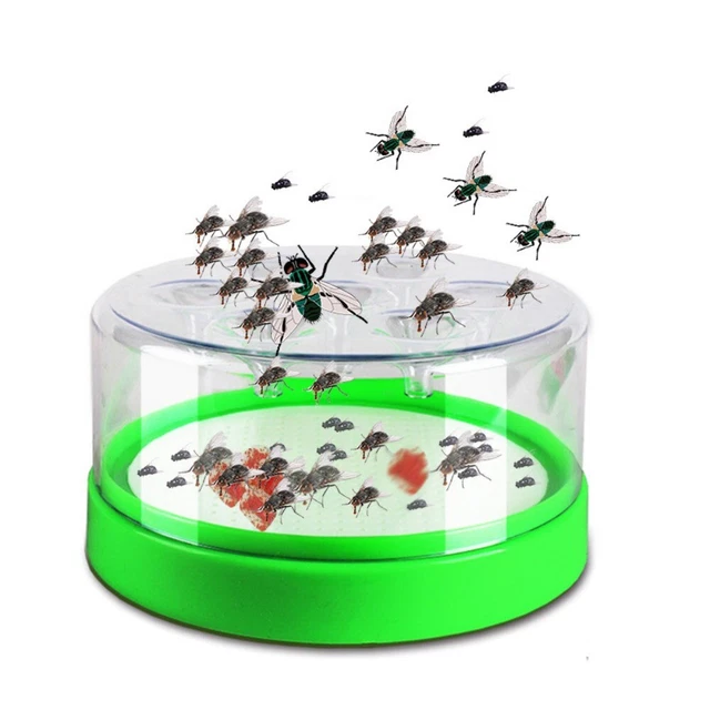 PP Dispositif de piège de mouche Dispositif de receveur de ravageurs  Intérieur