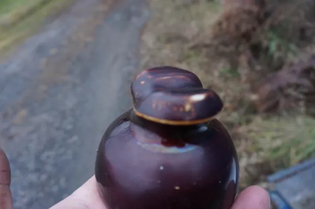 Brown PINCO  Porcelain Power Insulator