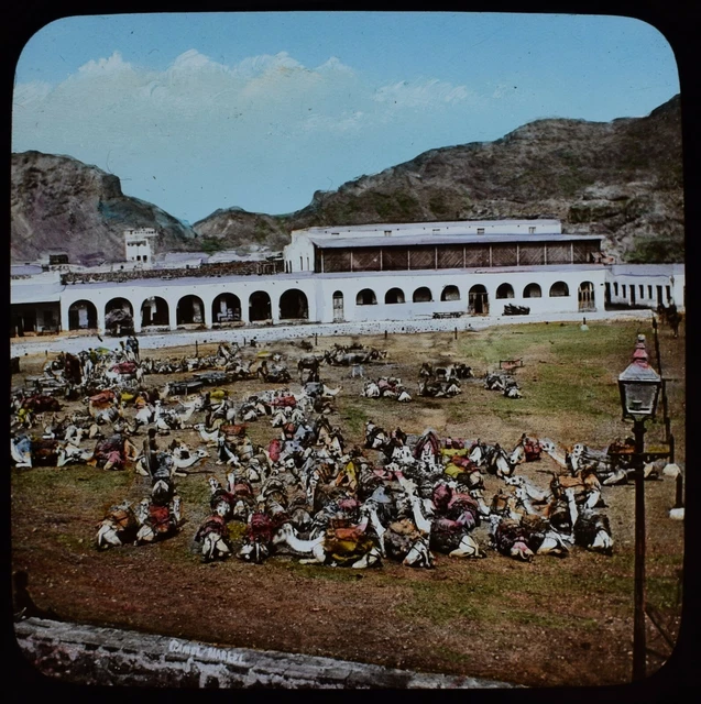 ANTIQUE COLOUR Magic Lantern Slide ADEN CAMEL MARKET C1893 VICTORIAN PHOTO