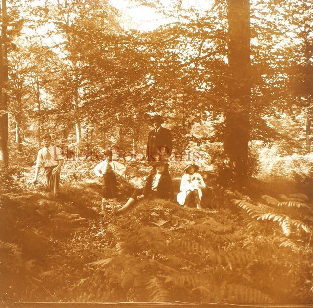 Famille Paysage c1920 Photo Plaque verre Stereo Vintage V33L18n10