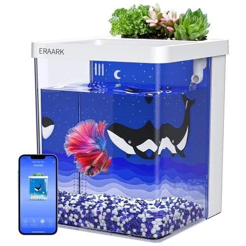 Smart Aquarium kit 1.5 Gallon Betta Fish Tank self Cleaning, Supports