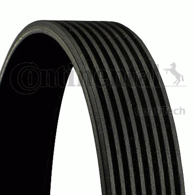 Cinghia trapezoidale Continental CTAM 8PK1460 per DAF 45 55