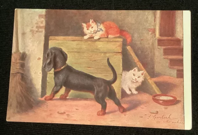 Dachshund Puppy Dog Playing With Cats, Kittens, Vintage Postcard Antique