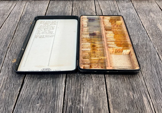 Antique Microscope Slides And Case - E. Leitz Inc. Microscope Slides And Case