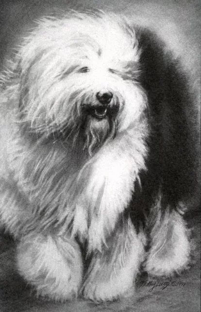 OLD ENGLISH SHEEPDOG BOBTAIL DOG PICTURE POSTCARD OES Privately Published