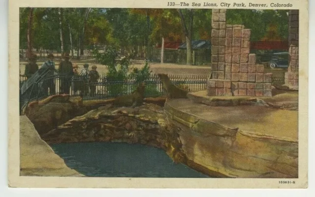 CO Postcard The Sea Lions At City Park - Denver, Colorado 1942 vtg linen F7