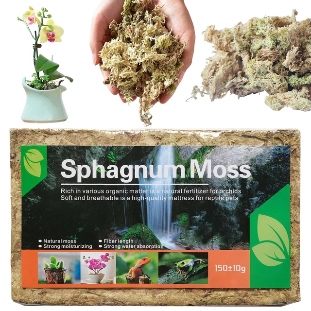 KOMODO HABITAT MOSS Brick 100g Compact Sphagnum Moss Frogs Snails