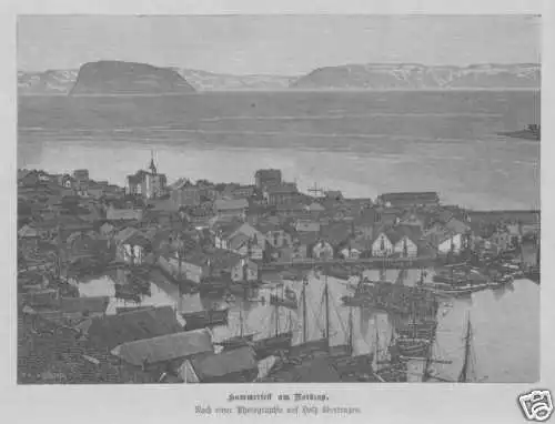 Vista Hammerfest Porto Norvegia Capo Nord Incisione su Legno Di 1881