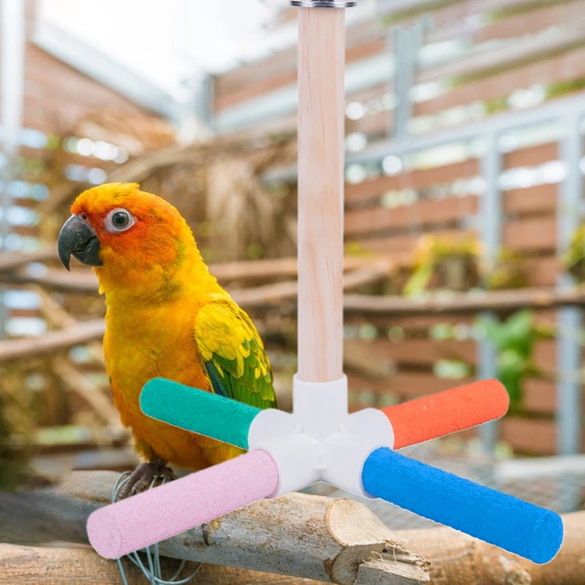 Vogelbarschständer, exquisiter Pfotenschleif-Papageien-Ruheständer,