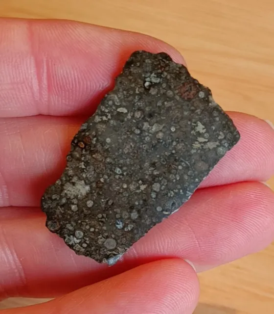 CV3 Carbonaceous Chondrite Meteorite Northwest Africa (Unclassified) 3.32g