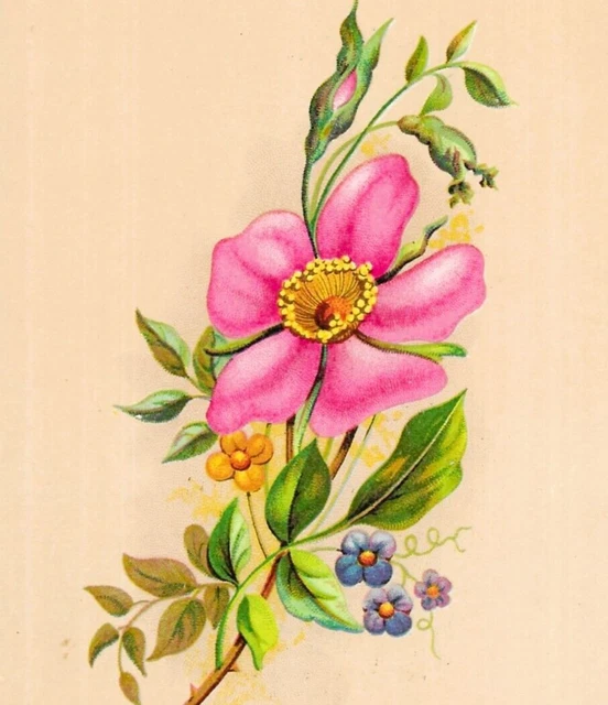 Pubblicitarie, Cartoline, Collezionismo - PicClick IT