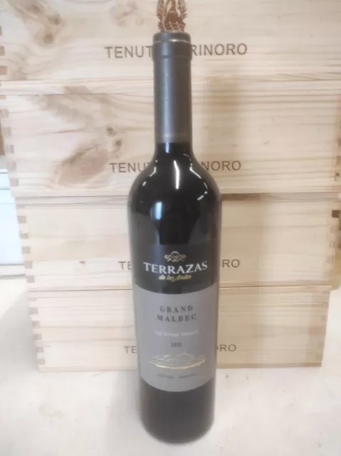 1 Bottiglie, Gran Malbec 2019 Terrazzas De Los Andes