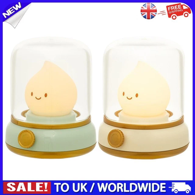 HOT DESKTOP LED Decorative Light USB Rechargeable Dimmable Kawaii