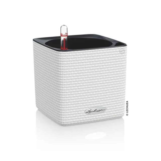 Lechuza CUBE Color 16 Blanc Pot de fleurs à arrosage automatique Pot de...