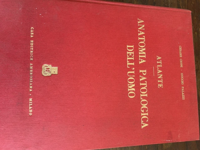 Cahier Manuscrit De Cours D'anatomie Pathologique – Prof. Dionisi 1910-1911 – Bon état Vintage