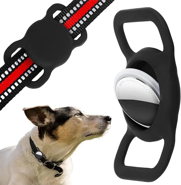 Bungee-Hundeleine Mit Stoßdämpfer – Kaufest, Reflektierend & Leicht Für Welpen Und Kleine Hunde