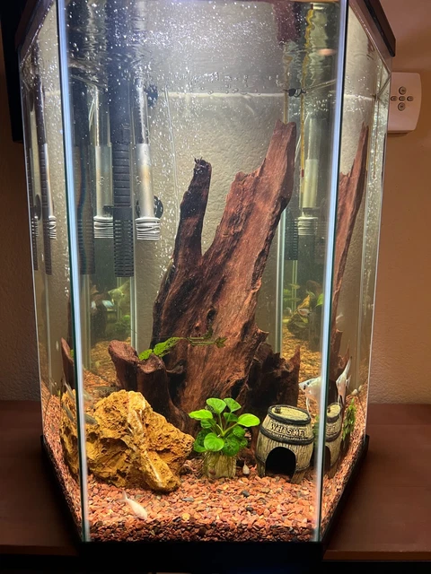 20 gallon vertical fish tank. Slightly used. Amazing condition.