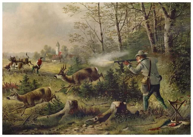 Ein hitziger Schütze Jagdbild 1884 Müller Gespann Rehe Waldrand Wilderer A3 20