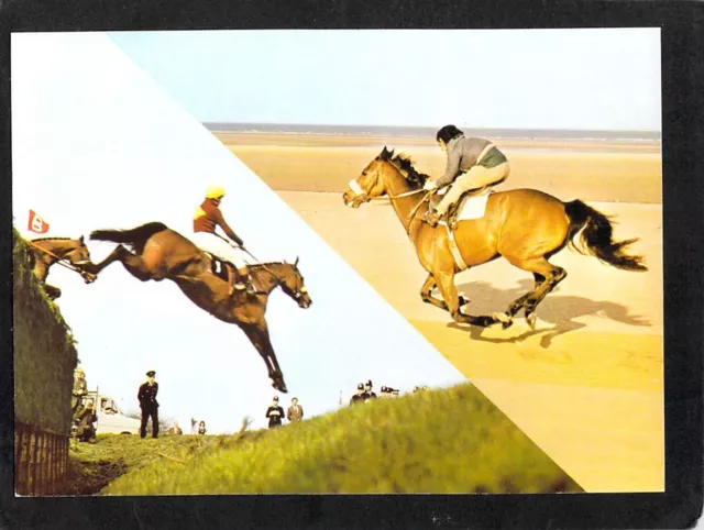 B3359 Animals Red Rum Race Horse Southport UK postcard