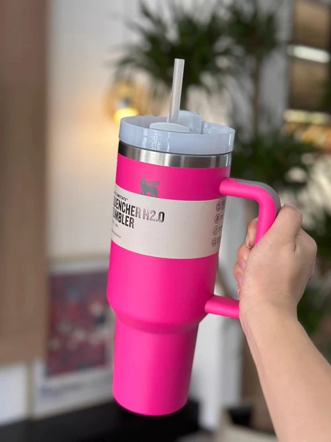 Stanley Adventure Quencher 40 oz Travel Tumbler Insulated Cup Handle Lid Strawy