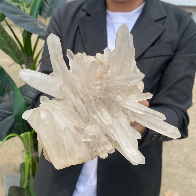 3.1lb Large Natural Clear White Quartz Crystal Cluster Rough Healing Specimen 8