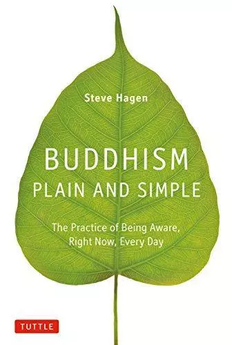 Buddhism Plain & Simple: The Practice of Being Aware, Right Now, Every Day