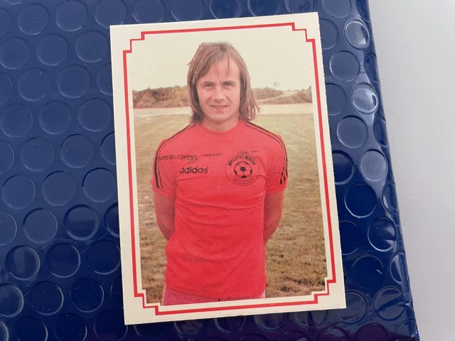Fanion Vintage Stade Lavallois - Collection Football Club Français Avant 2000