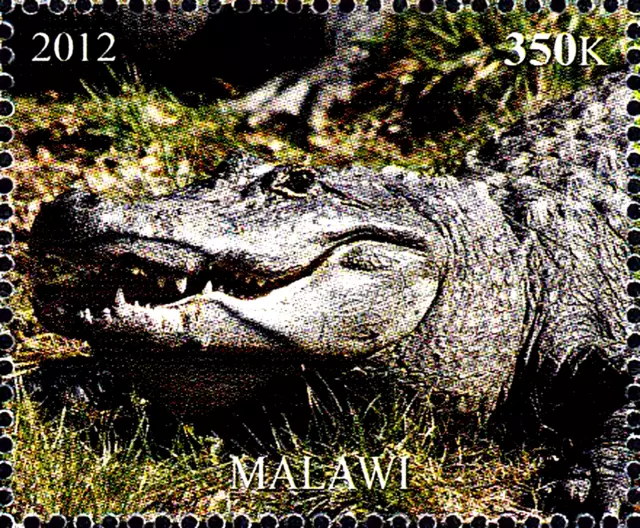 Malawi postfrisch MNH Tier Wildtier Krokodil Alligator Reptil Raubtier Fauna /50