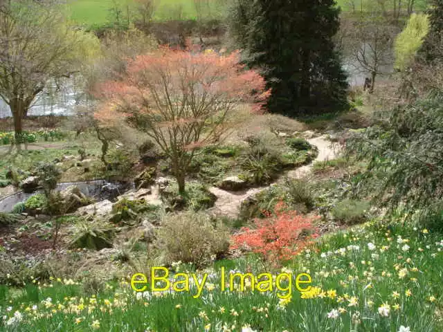 Photo 6x4 The Weir Garden in Spring Canon Bridge  c2007