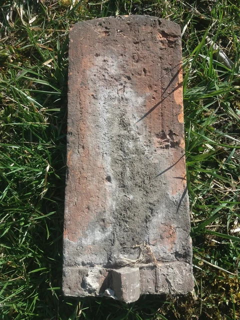 5 x Biber Dach Ziegel Pfanne Schindel Biberschwanz Biberschwanzziegel alt