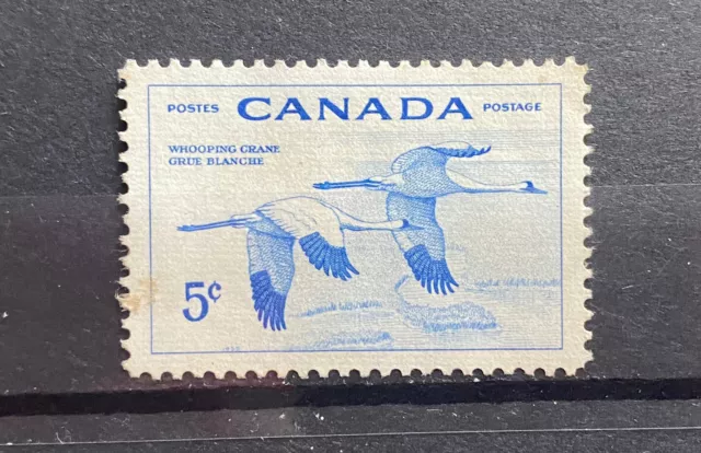 Canada 1955 National Wild Life 5c V689
