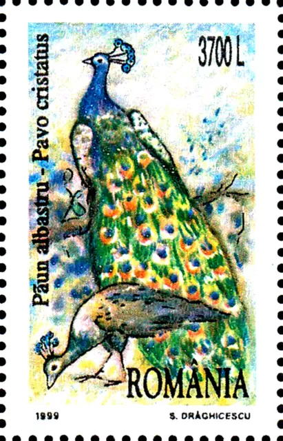 Rumänien postfrisch MNH Vogel Blauer Pfau Wildtier Fasan Hühnervogel Ziervogel