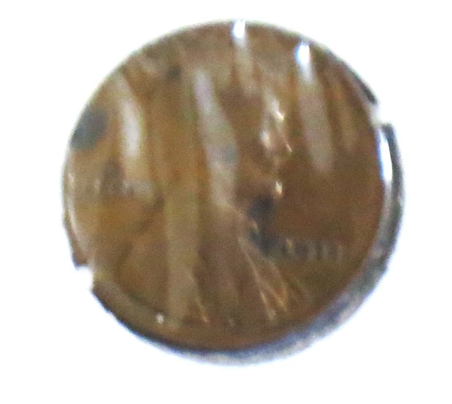1911 P Lincoln Wheat  Cent Penny   D0504